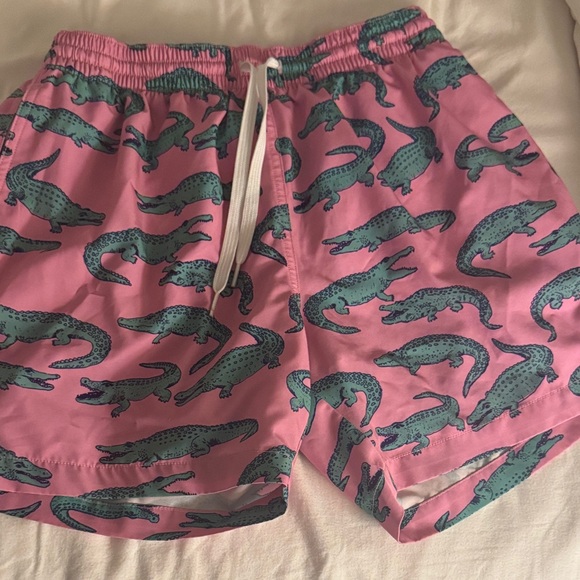 Chubbies Pink and Green Swim Shorts - Picture 1 of 3